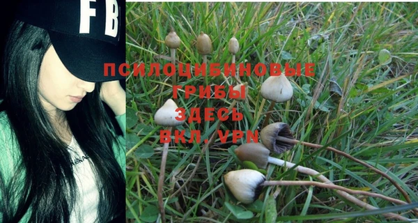первитин Белоозёрский