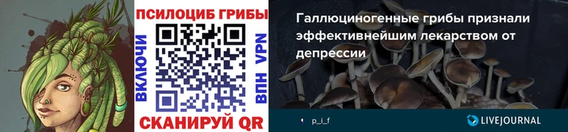 Галлюциногенные грибы Psilocybine cubensis Устюжна
